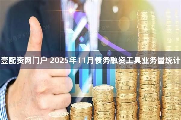壹配资网门户 2025年11月债务融资工具业务量统计