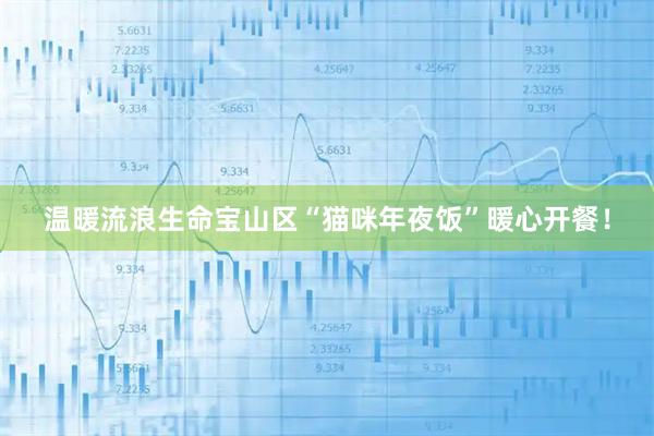 温暖流浪生命宝山区“猫咪年夜饭”暖心开餐！