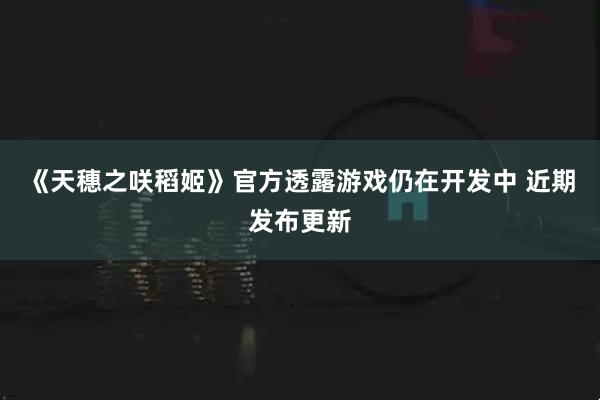 《天穗之咲稻姬》官方透露游戏仍在开发中 近期发布更新