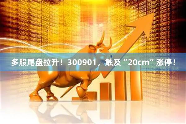 多股尾盘拉升！300901，触及“20cm”涨停！