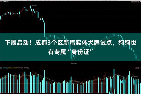 下周启动！成都3个区新增实体犬牌试点，狗狗也有专属“身份证”