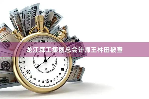 龙江森工集团总会计师王林田被查